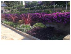 Photos by Foothill Nursery & Landscape Inc #1