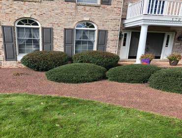 Photos by Ed Francos Simply Green, LLC #1