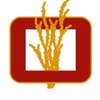 Ocotillo Construction Company Inc logo