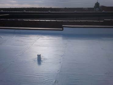 Vent boot roof
