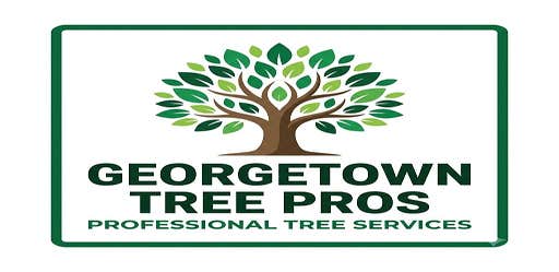 Photos by Georgetown Tree Pros #1