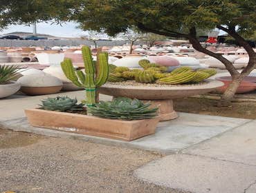 Photos from Arizona Sunscape Lawn Maintenance Llc