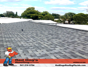 Photos by Red dog's Roofing of Florida #1