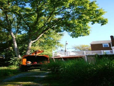 Photos by Black Lab Tree Service #1