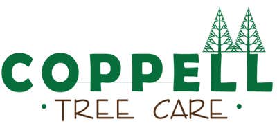 Photos by Coppell's Best Tree Pros #1
