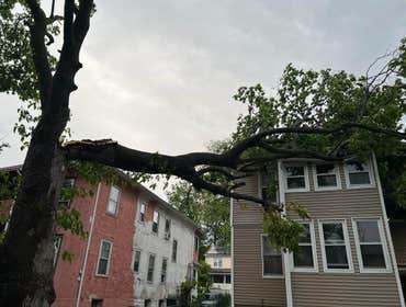 Photos by ALX Tree Services LLC #1