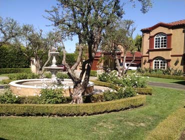 Photos from Pool Service & Maintenance Professionals