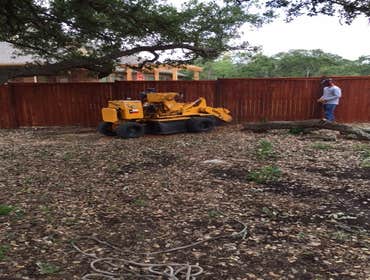 Photos from South Texas Tree of Life Tree S.Tx Tree of Life Tree Service