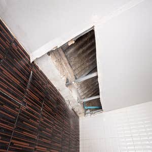 Photos by Nettleton Water Damage Experts #1
