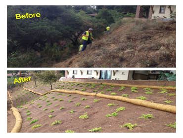 Photos from Pacific Coast Landscape & Design Inc