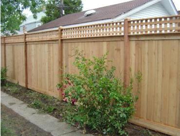Fences