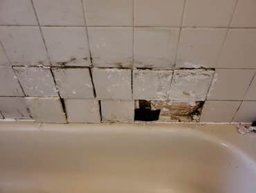 Master Bath (Before)