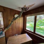 Photos by ALX Tree Services LLC #1