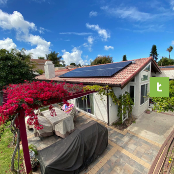 Treeium Energy Inc