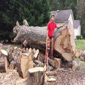 Photos by Beaver Lake Tree Service, Inc #3