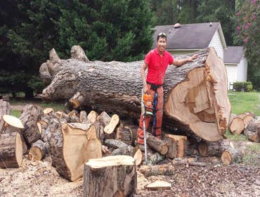 Photos by Beaver Lake Tree Service, Inc #3