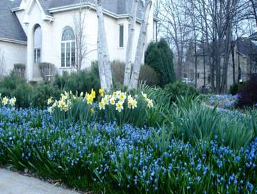 March-April garden in Chicago