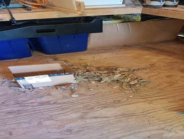 Photos by German Rodent Control #10