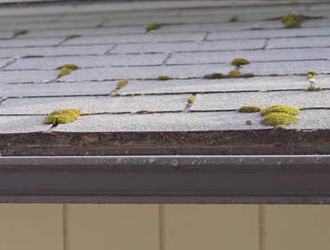 Photos by Dakota Roofing #2