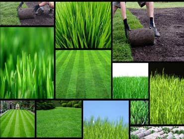 Photos by Spokane Landscape Design Experts #1