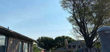 Carrollton Tree Service Company