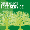Citrus Heights Tree Service logo