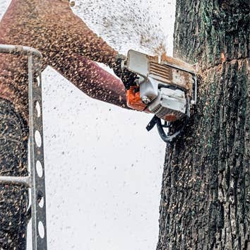Photos by Roswell Tree Services Co #1