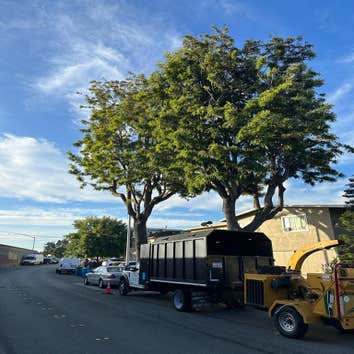 Cavara Tree Service Inc