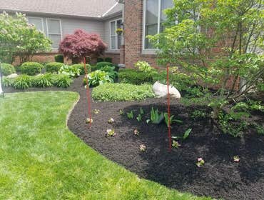 Photos by Jm Landscape and Tree Services #1