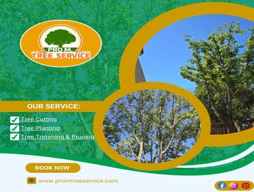 Photos by Pro M Tree Service #71