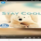 Polar Bear Air Conditioning