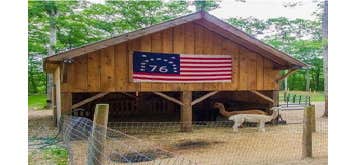Photos by Black Sheep Post and Beam #1