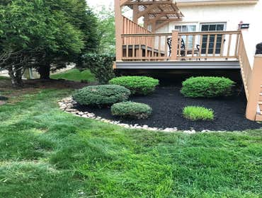 Photos by Ed Francos Simply Green, LLC #1