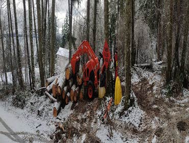 Photos by Low Impact Forestry & Tree #1