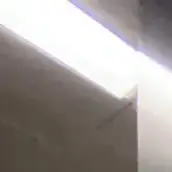 Commercial Remodel