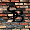 Steve Balderas Construction and Demo logo