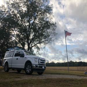 Coggin Electrical Specialists, Inc.