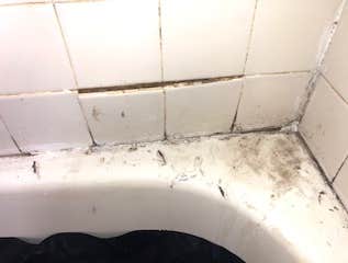 Photos by Mr Honey Do Home Improvement LLC #1 removed existing loose tiles with favorable site conditions. Removed water damaged drywall. Cleaned tiles