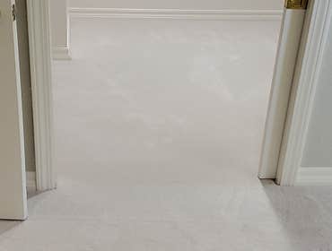 Photos by Carpet by Luis Inc #1