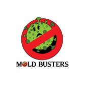 Photos by Mold Busters Lewisville #1