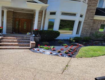 Photos by Alberto Alavez Professional Lawn Services LLC #19
