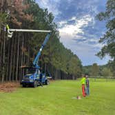 tree trimming and pruning