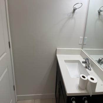 Fine Finish Painting