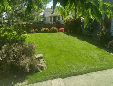 Photos from Botanical Sam's LLC