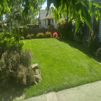 Photos from Botanical Sam's LLC