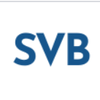Silicon Valley Builders logo