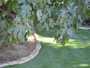 Photos by NorCal Easy Green Synthetic Lawn #1
