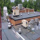 School Roofing