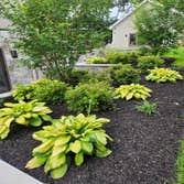 Jobs Landscaping