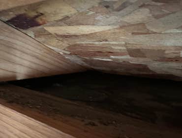 Water Mitigation This project was a roof leak the photos show initial inspection to post demo.